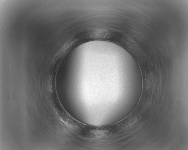 X0000060800255200511171249