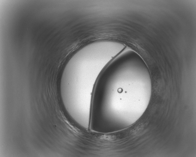 X0000060800261200511171249