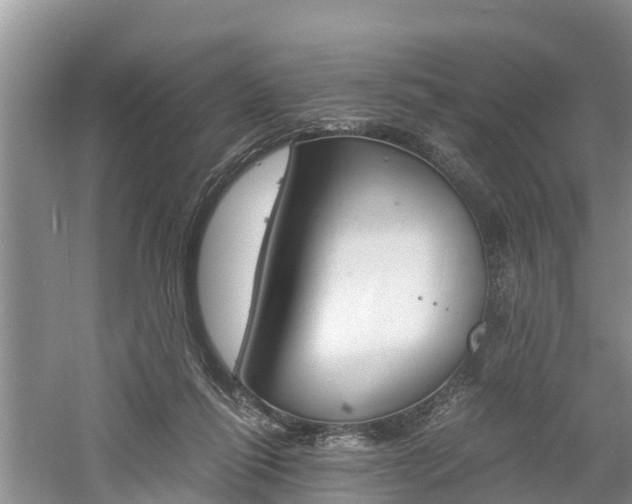 X0000060800262200511171250