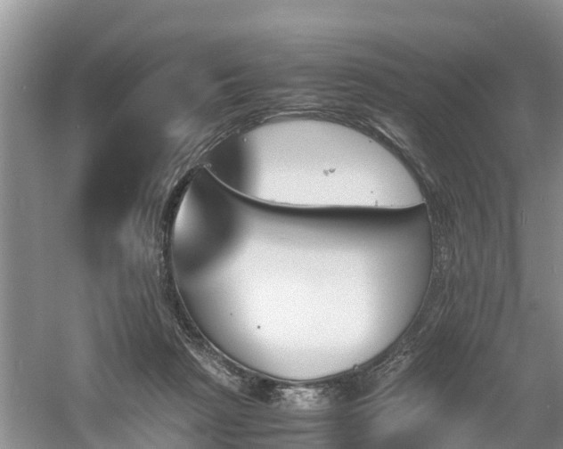 X0000060800265200511171250