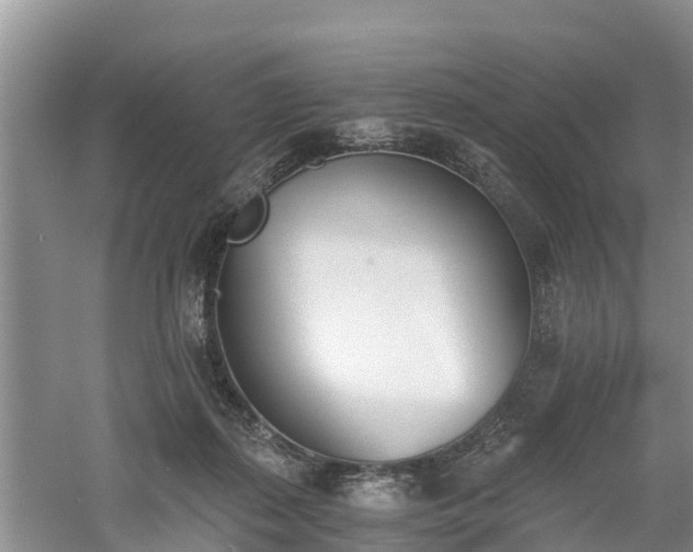 X0000060800267200511171250