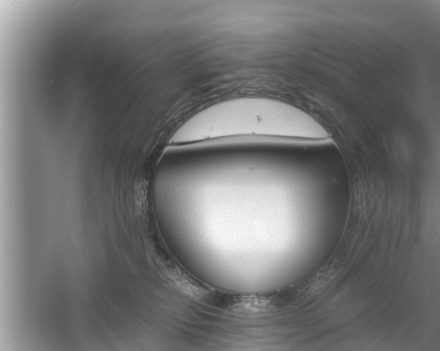 X0000060800278200511171250