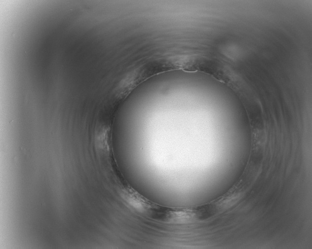 X0000060800286200511171250