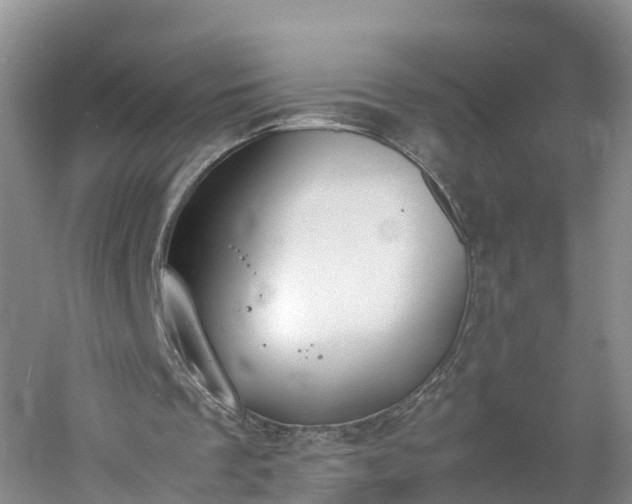 X0000060800289200511171249