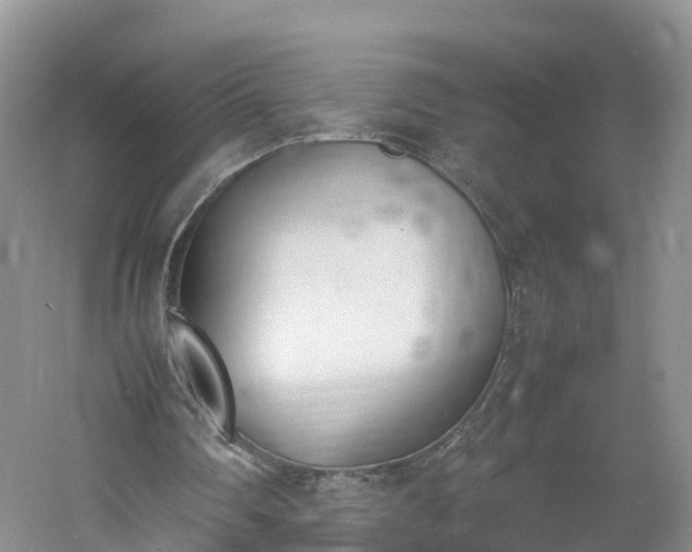 X0000060800290200511171249