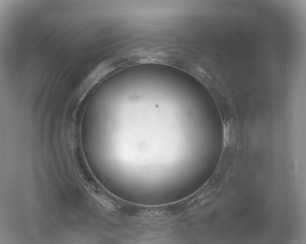 X0000060800291200511171249