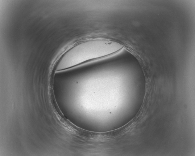 X0000060800293200511171249