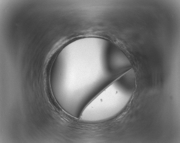 X0000060800295200511171249