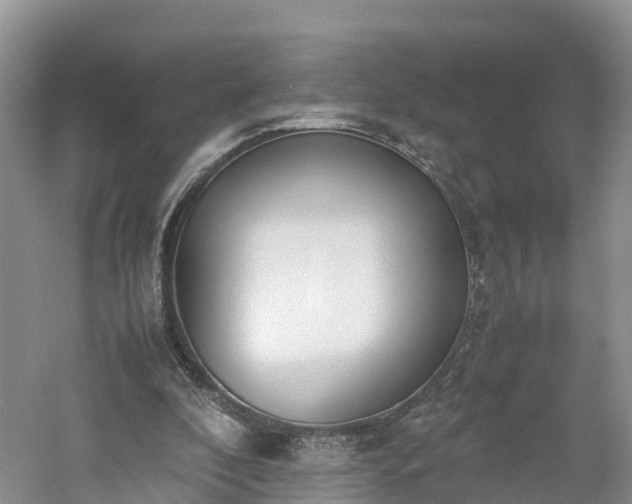 X0000060800296200511171249