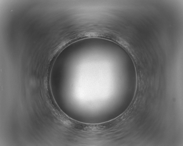 X0000060800297200511171249