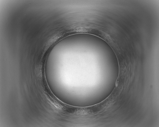 X0000060800299200511171249