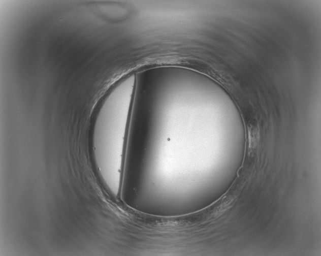 X0000060800301200511171249