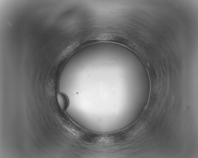 X0000060800303200511171249