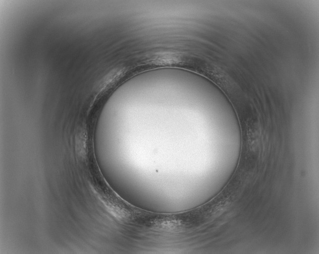 X0000060800304200511171249