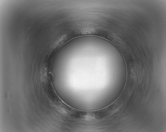 X0000060800308200511171248