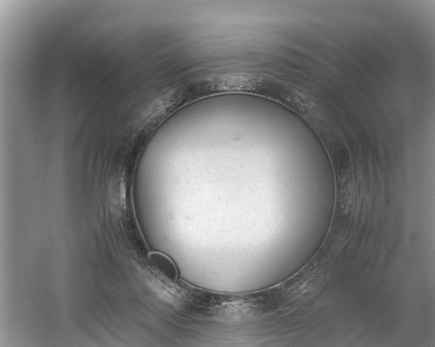 X0000060800310200511171248