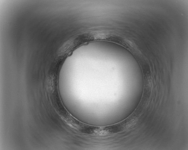 X0000060800311200511171248