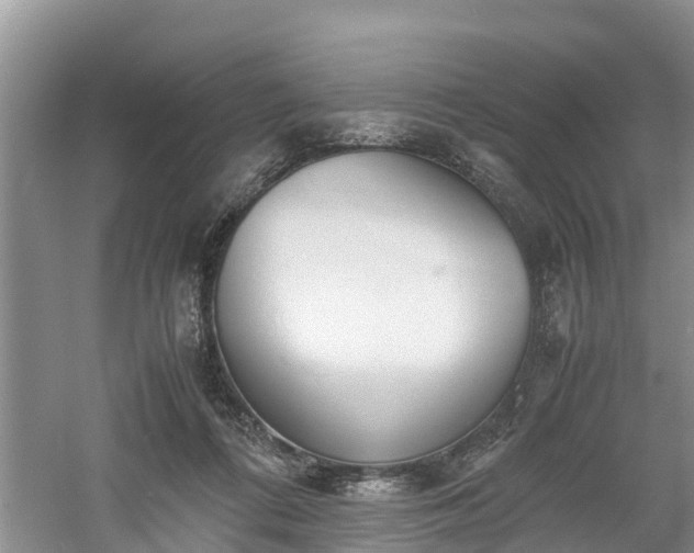 X0000060800312200511171248