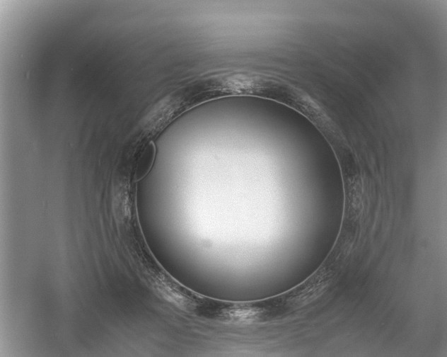 X0000060800313200511171248