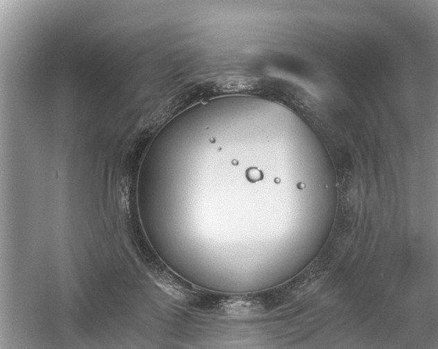 X0000060800315200511171248