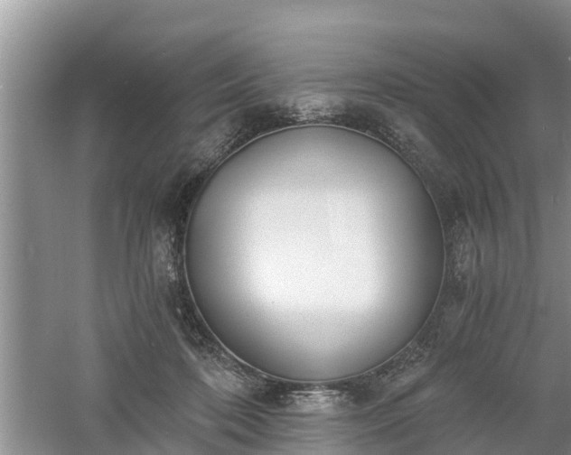 X0000060800316200511171248