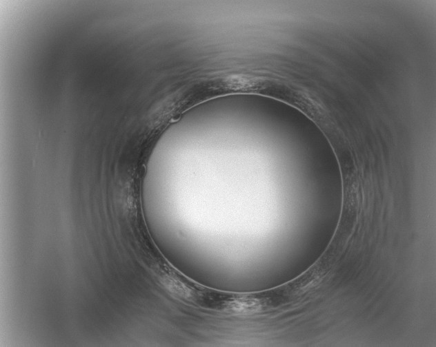 X0000060800317200511171248