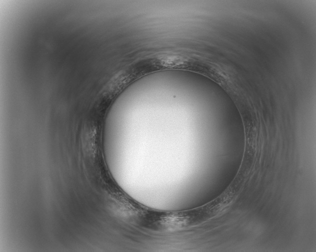 X0000060800319200511171248