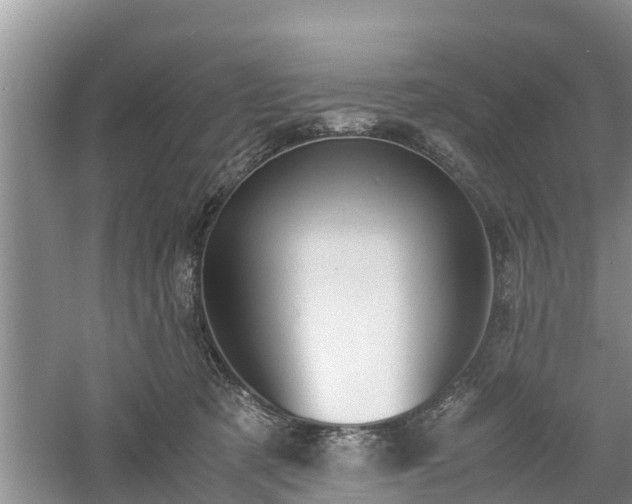 X0000060800321200511171248