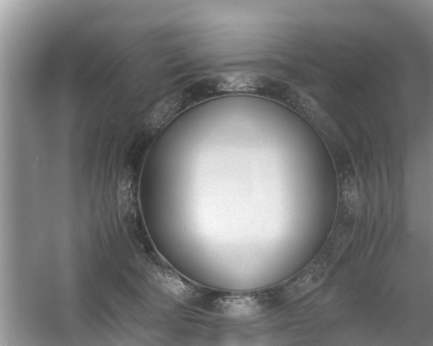 X0000060800322200511171248