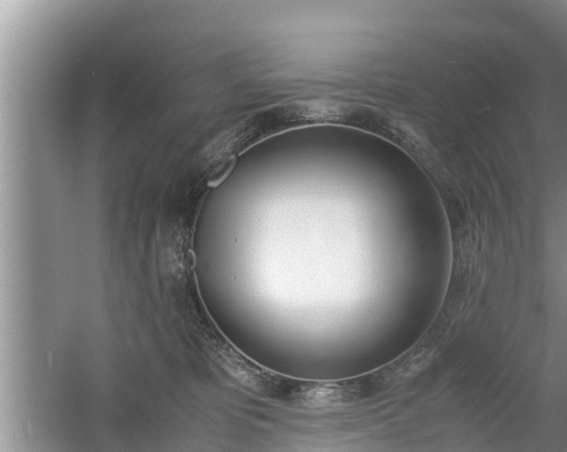 X0000060800325200511171248