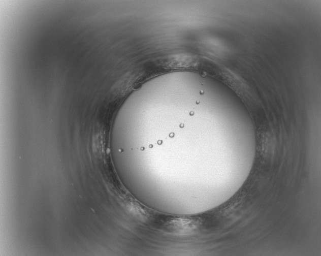 X0000060800326200511171248