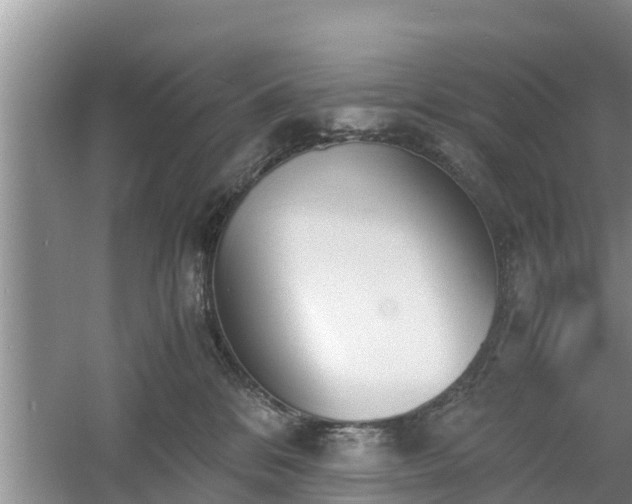 X0000060800328200511171248