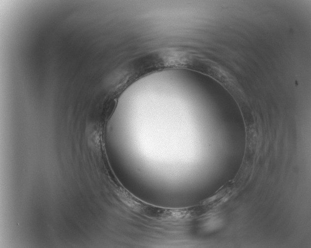 X0000060800329200511171248