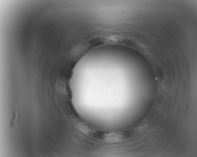 X0000060800331200511171248