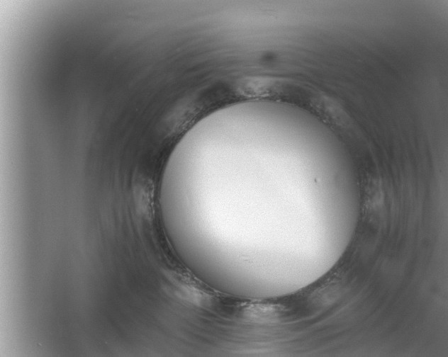 X0000060800332200511171248