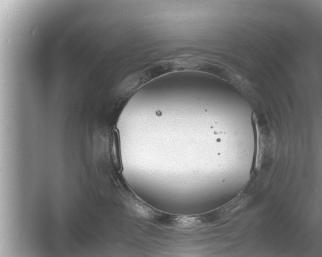 X0000060800333200511171248