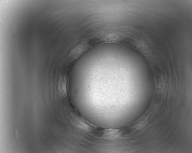 X0000060800334200511171248