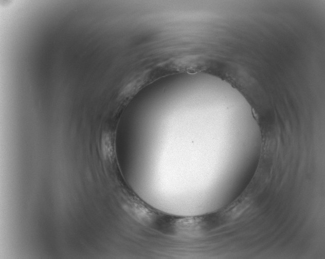 X0000060800335200511171248