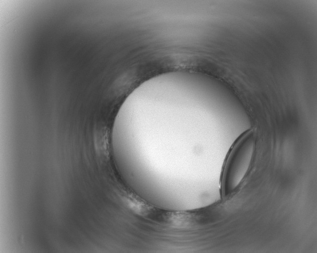 X0000060800336200511171248