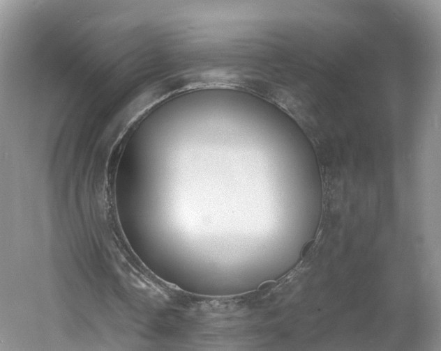 X0000060800338200511171247