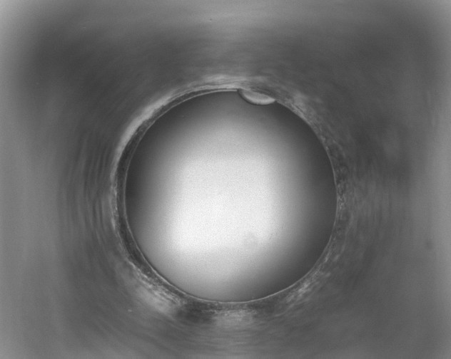 X0000060800342200511171247