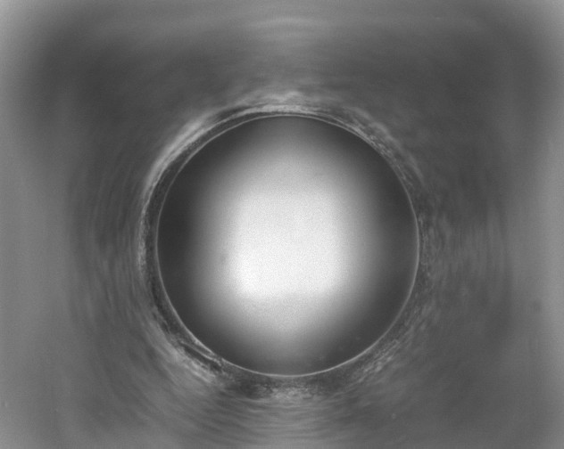 X0000060800344200511171247