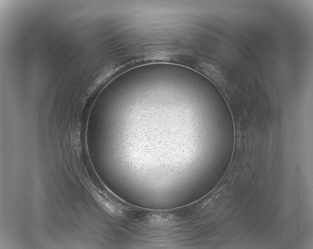 X0000060800346200511171247