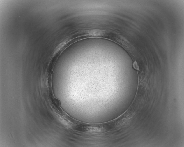 X0000060800347200511171247