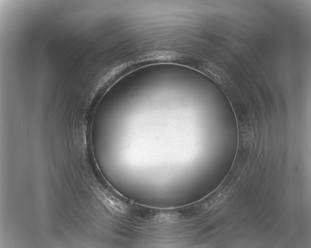 X0000060800350200511171247