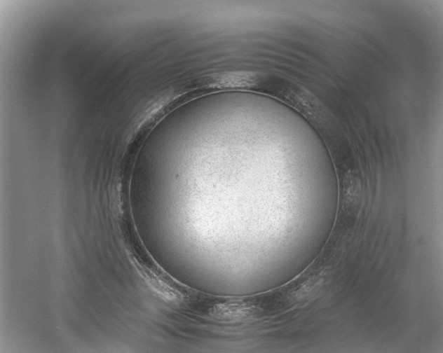 X0000060800351200511171247