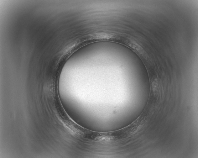 X0000060800352200511171247