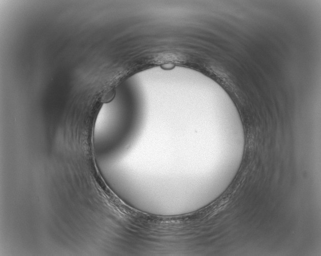 X0000060800353200511171247