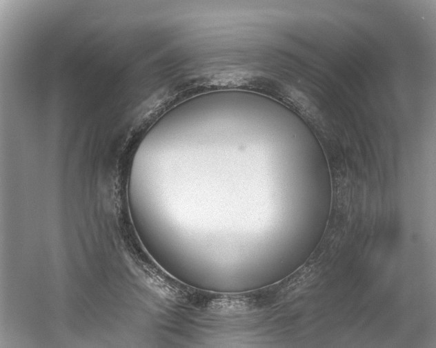 X0000060800354200511171247