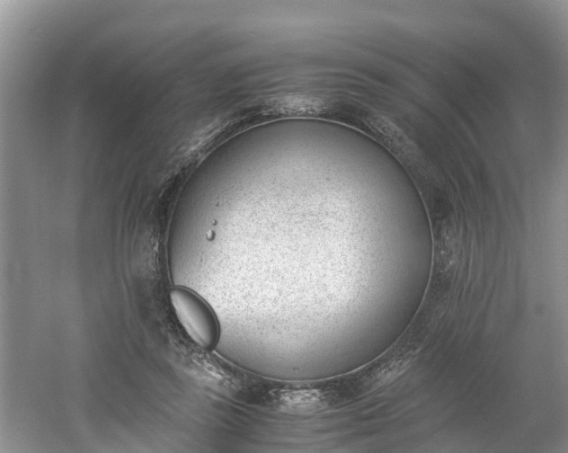 X0000060800355200511171247